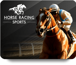 Experience the Thrill of Non-Football Sports on Sbobet now!